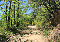 Coll de Lli, La Vajol